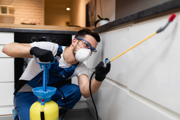Best Pest Control Treatment  in Greenback, TN