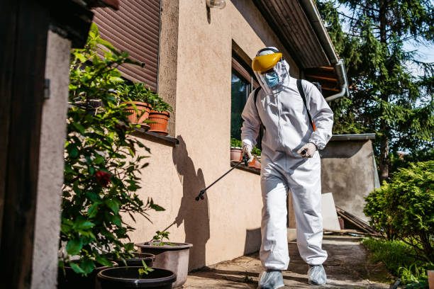 Best Best Pest Control Companies  in Greenback, TN