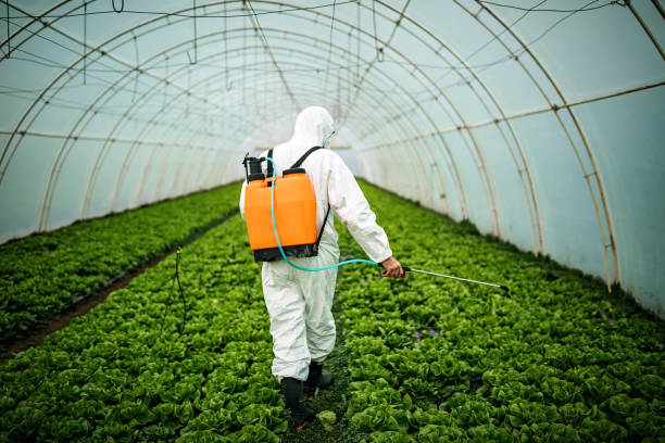 Best Mosquito Control Services  in Greenback, TN