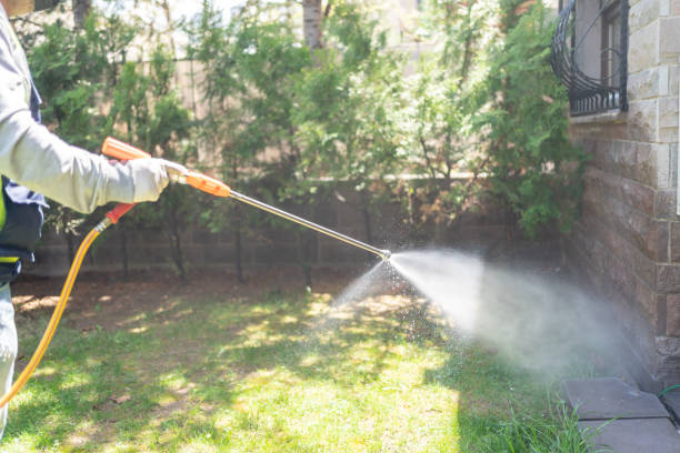 Reliable Greenback, TN Pest Control Solutions
