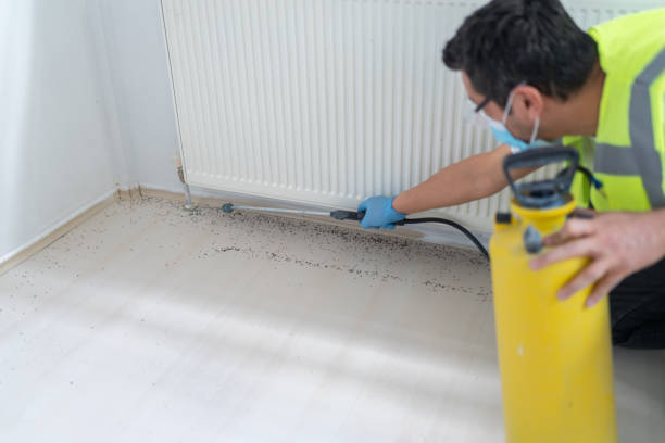 Best Mosquito Control Services  in Greenback, TN