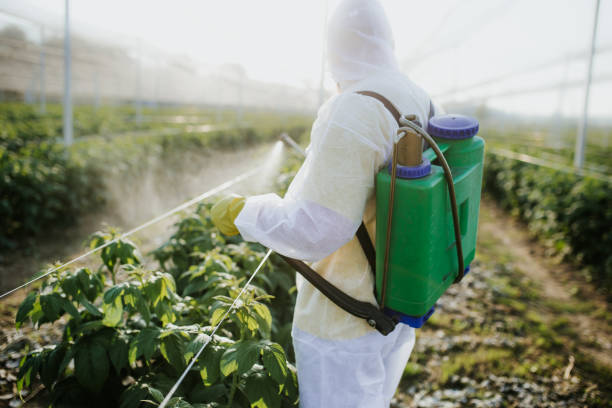 Best Pest Prevention Services  in Greenback, TN
